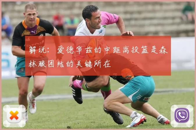解说：爱德华兹的中距离投篮是森林狼团结的关键所在