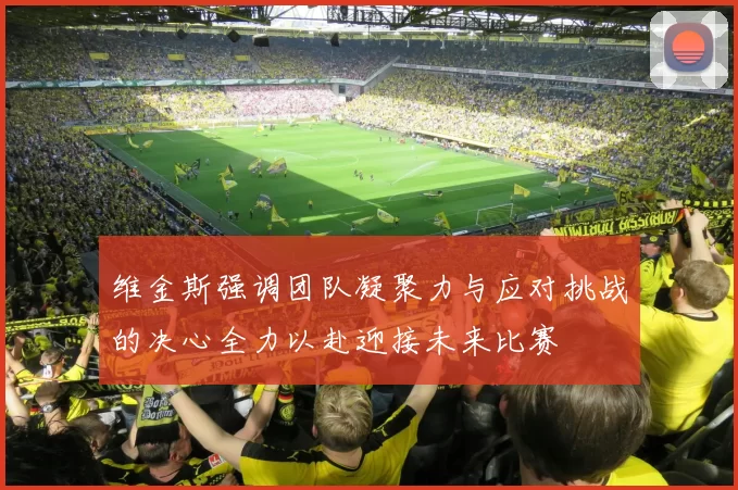 维金斯强调团队凝聚力与应对挑战的决心全力以赴迎接未来比赛
