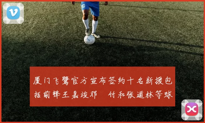 厦门飞鹭官方宣布签约十名新援包括前锋王嘉竣邓棽竹和张道林等球员